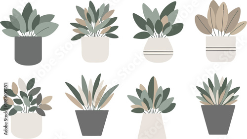 set of cactus in pots