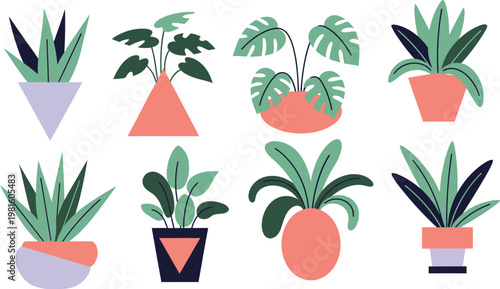 set of flowers in pots