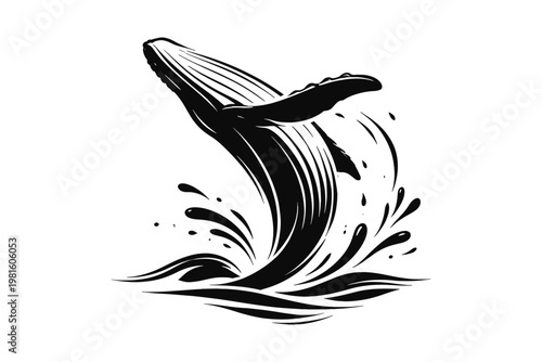 Humpback Whale Breaching Water