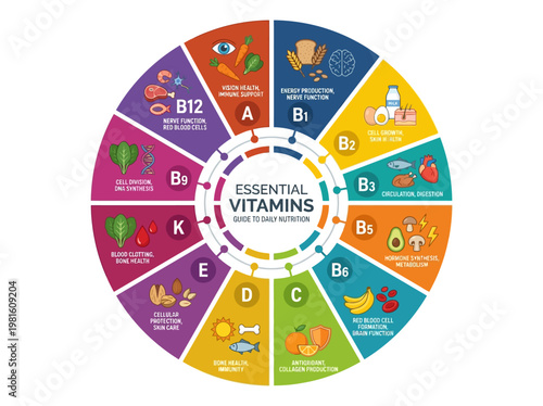 Informative circular infographic presenting essential vitamins, their diverse food sources, and crucial health benefits, a daily nutrition guide