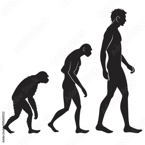 Human evolution, silhouette illustration, primate to modern man, 3 stages, black icons