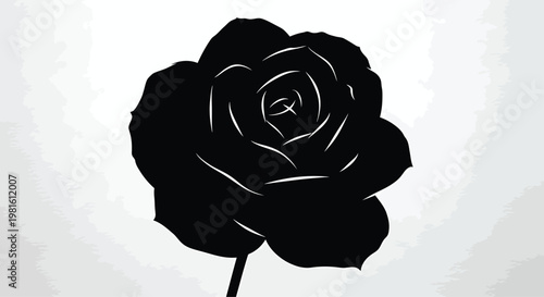 Black Rose Silhouette on White Background