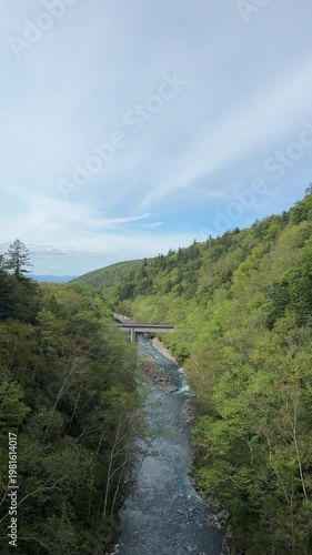 a serene view at Shirahige Waterfall shows a clear stream flowing through a lush green valley, framed by dense forested hills, with a quiet bridge crossing above under a wide blue sky