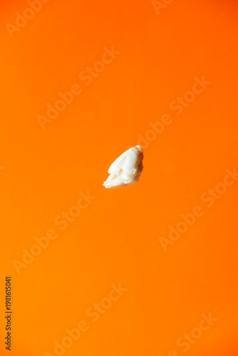 Crab meat for cooking with an orange background scene to enhance appetite