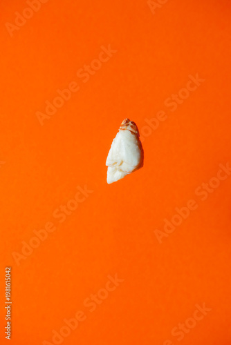 Crab meat for cooking with an orange background scene to enhance appetite
