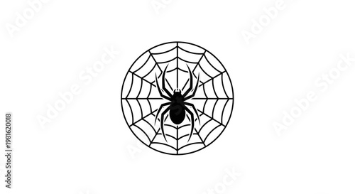 Black spider in web circle.