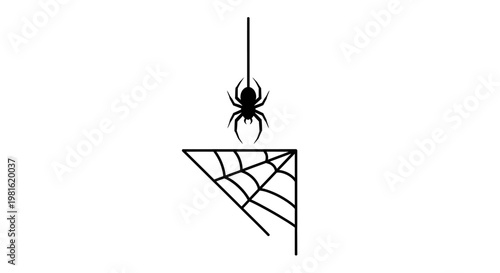 Black spider on web corner.