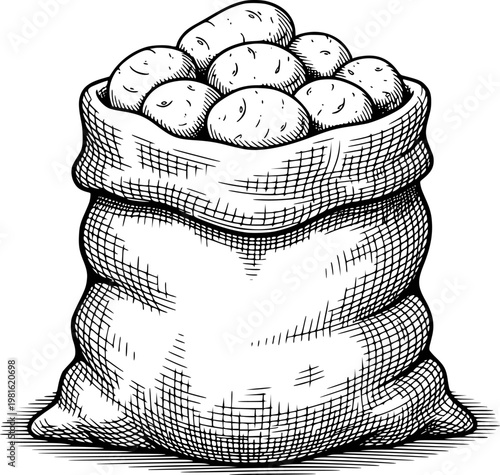 Vintage of a Burlap Sack Overflowing with Potatoes a White Background food