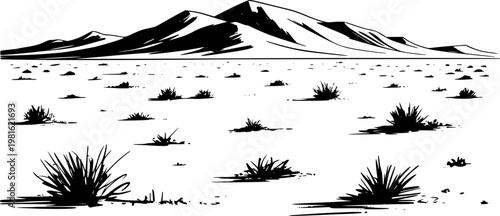 Black and white of a vast desert landscape with sparse vegetation and distant mountains