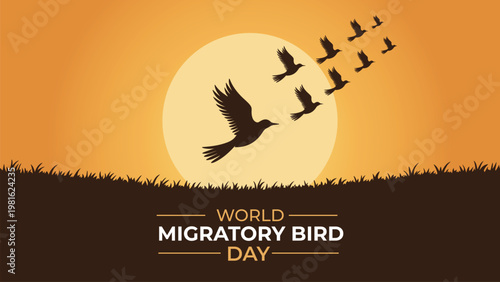 World Migratory Bird Day background with silhouette of flock flying in V-formation over a field during sunset or sunrise, birds migration conservation concept illustration.