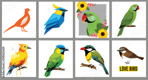 Colorful Bird Illustration Set Featuring Parrot, Love Bird, Pheasant, and Tropical Birds in Vibrant Designs