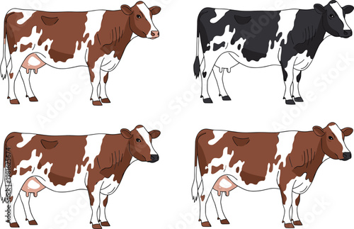 Cow Illustration Set with Brown and Black Spotted Cows for Farm and Agriculture Designs