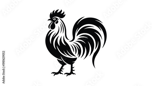 Rooster silhouette vector illustration with detailed feather design farm animal black vintage style isolated on white background