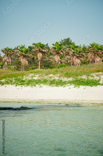 Φωτογραφία Indifferent Local Gaze at an Ordinary Village Beach with Weathered Palms and Qui
