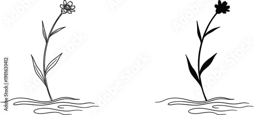 Vintage botanical illustration of two wildflower stems with delicate leaves