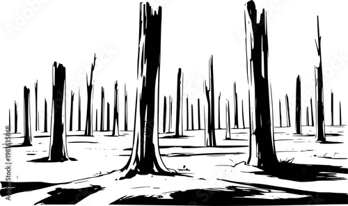 Stark black and white of a desolate forest with bare, burnt tree stumps trees
