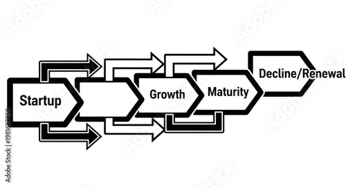 Business Life Cycle Stages - Startup, Growth, Maturity, DeclineRenewal.