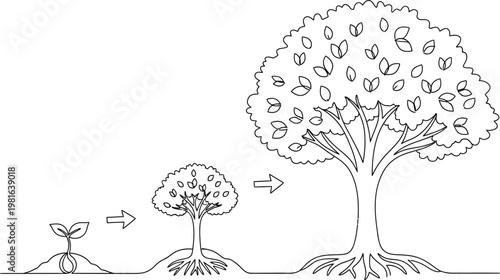 Line art illustration depicting the natural growth cycle of a plant starting from a small seed to a mature tree