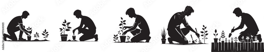 Fototapeta premium vector young man planting plant silhouette