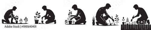 vector young man planting plant silhouette
