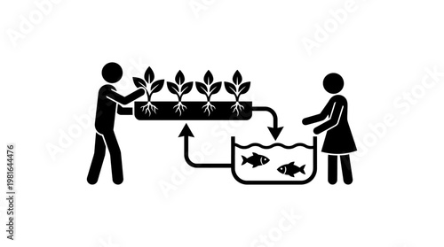 Aquaponics System Cultivating Plants and Fish Together