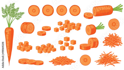 Comprehensive set of carrot illustrations showing whole vegetables along with various cuts including slices, cubes, and shredded pieces.