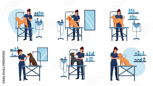 Professional pet groomers working in a salon to wash, brush, and style the fur of various dog breeds on grooming tables.