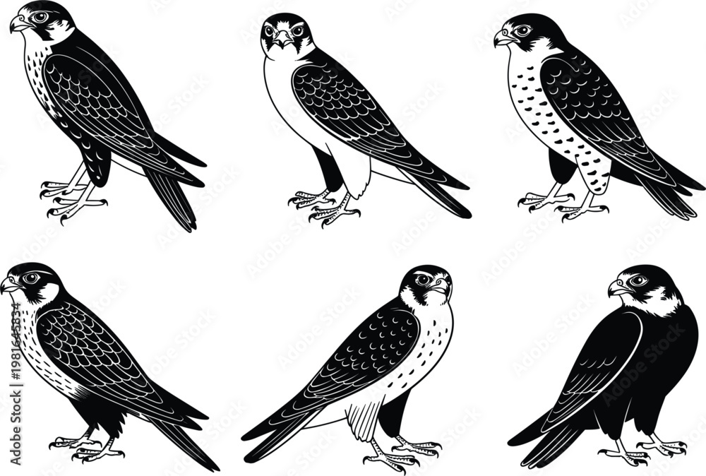 Fototapeta premium Falcon bird silhouette set with hunting hawk and predator eagle symbols isolated on white background vector illustration