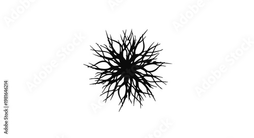 Abstract root system illustration radiates outward from a dark central focal point to represent complex biological structures, botanical growth patterns, and organic connectivity in nature.