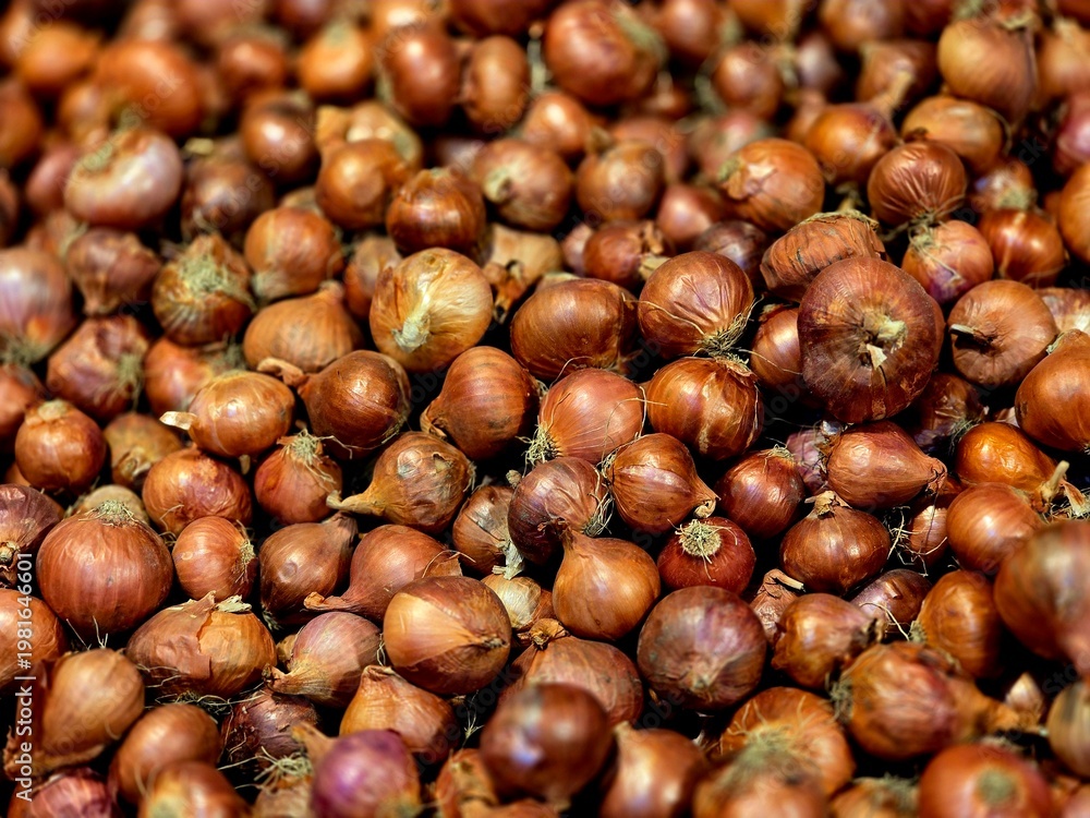 Obraz premium Fresh onions displayed for sale in a local market. The close-up view highlights natural texture, organic produce, and the vibrant atmosphere of a traditional marketplace.