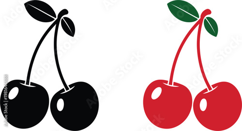 Vintage hand drawn pine branch with needles and pinecone isolated on white background vector illustration design