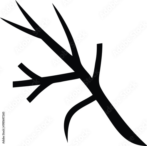 Black branch with thorns tree nature