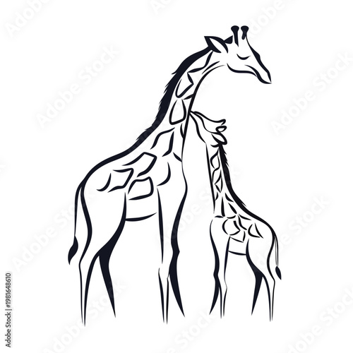Photography silhouette of a pair of giraffes  parent and child (1)(3)