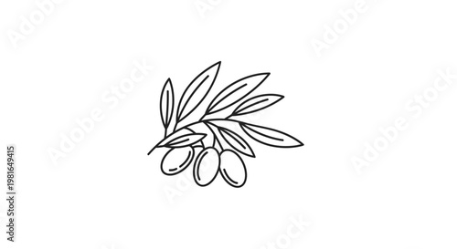Olive Branch with Fruit, Linear Illustration, Peaceful Symbolism