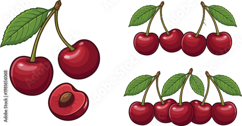 Fresh Cherry Illustration Set with Whole and Sliced Cherries on Branches for Fruit, Healthy Eating, and Nature Designs