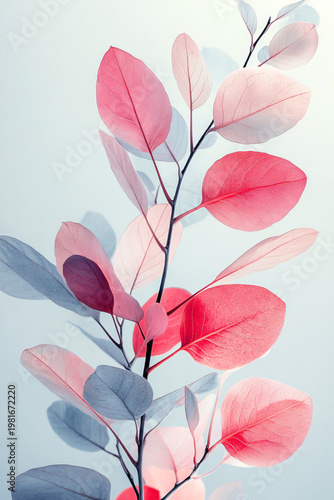Stylized Eucalyptus Plant with Colorful Translucent Leaves