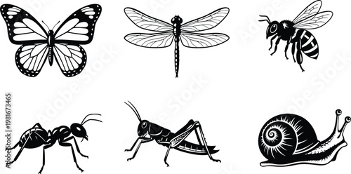 Six black and white insect including butterfly dragonfly bee ant grasshopper and snail butterfly dragonfly bee ant grasshopper snail insect animal nature black and white silhouette