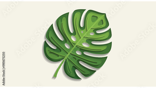 Layered Paper Cut Green Monstera Leaf Vector Art Illustration
