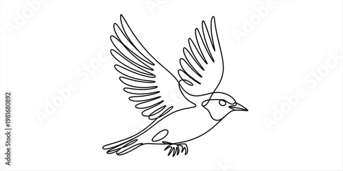 A minimalist single line drawing of a small bird captured in mid flight against white background Vector, illustration