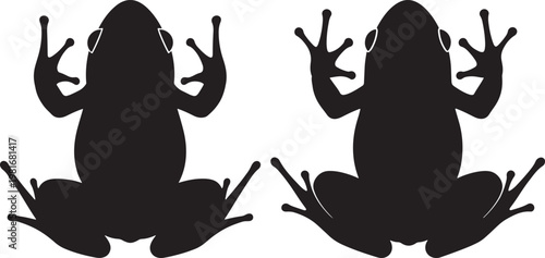 Two black frog silhouettes sitting down with black and white background animal icon animal illustration mirror image amphibian silhouette illustration isolated together wildlife