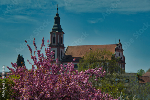 Blütezeit in Ettenheim in der Ortenau