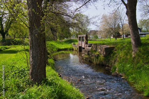 Bach bei ettenheim-Münchweier in der ortenau