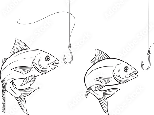 Two fish leaping towards fishing lures on white background with black and white food source food chain marine life wildlife illustration swimming underwater freshwater saltwater predator