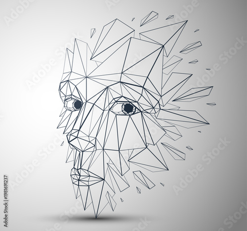 Wireframe identity, polygon...