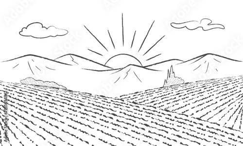 Rural landscape with sun and hills. Agricultural fields.