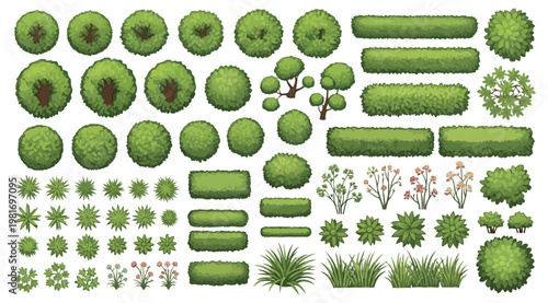 Set of top view trees and bushes for landscape design