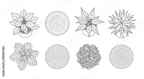 Set of top view house plants and tree trunks