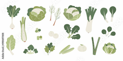 A colorful collection of various fresh vegetables in a flat design