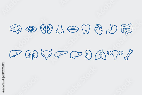 A Collection of Medical Icons Representing Human Anatomy, Organs, and Body Parts for Health and Science Applications