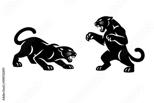Two Fierce Black Panthers in Aggressive Stance Facing Each Other Symbolizing Power, Danger, and Wild Nature in a Dynamic Illustration